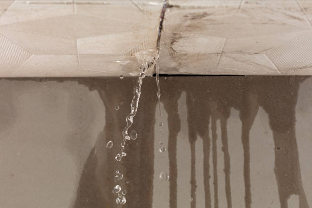 Professional Structural Drying technician working in Luckey, OH